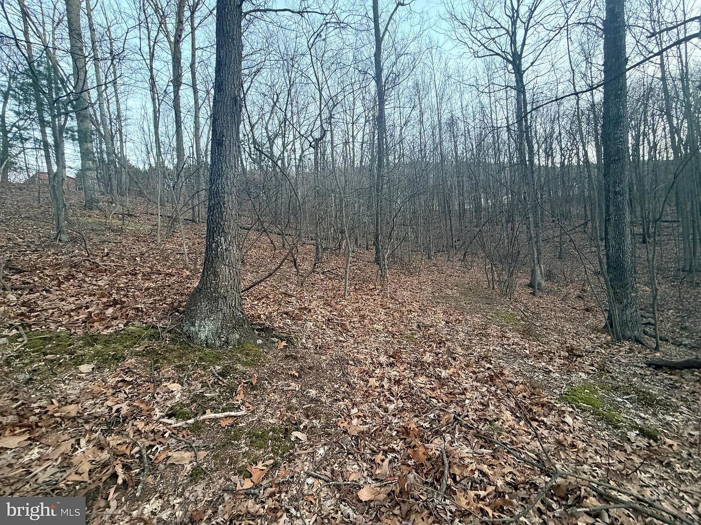 262 Jamie Rd Mc Connellsburg, PA 17233 - Thumbnail 5