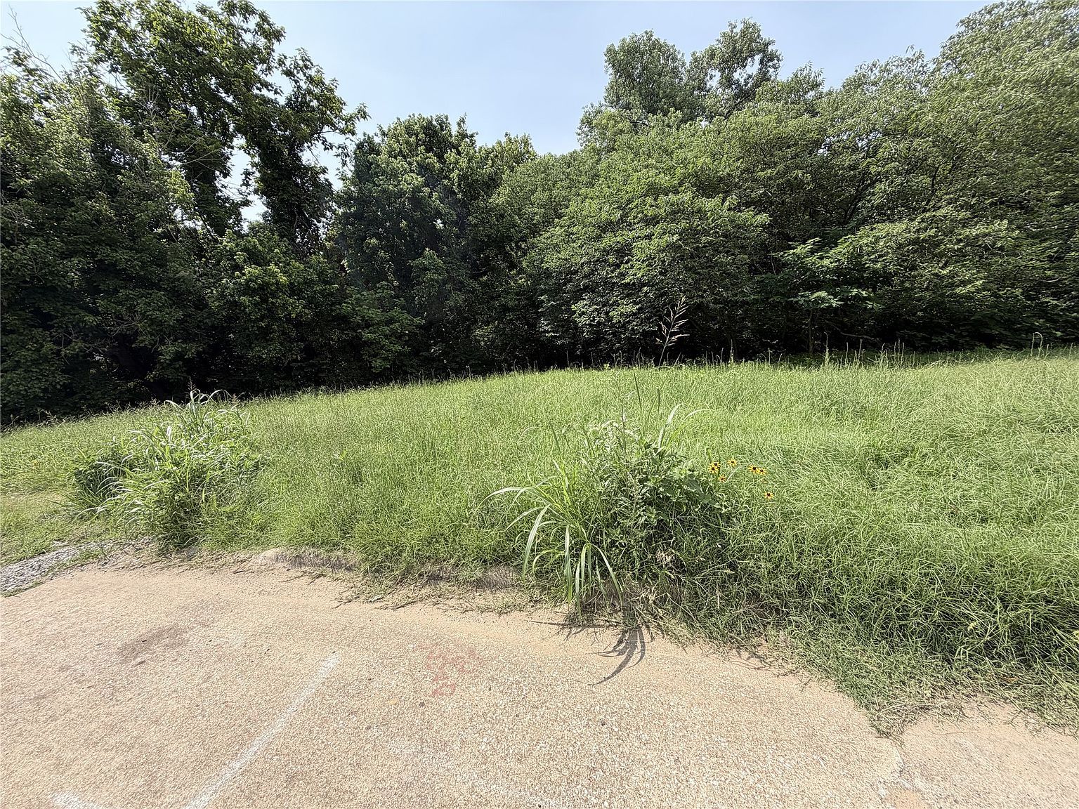 1326 W Crawford St Denison, TX 75020 - Thumbnail 5