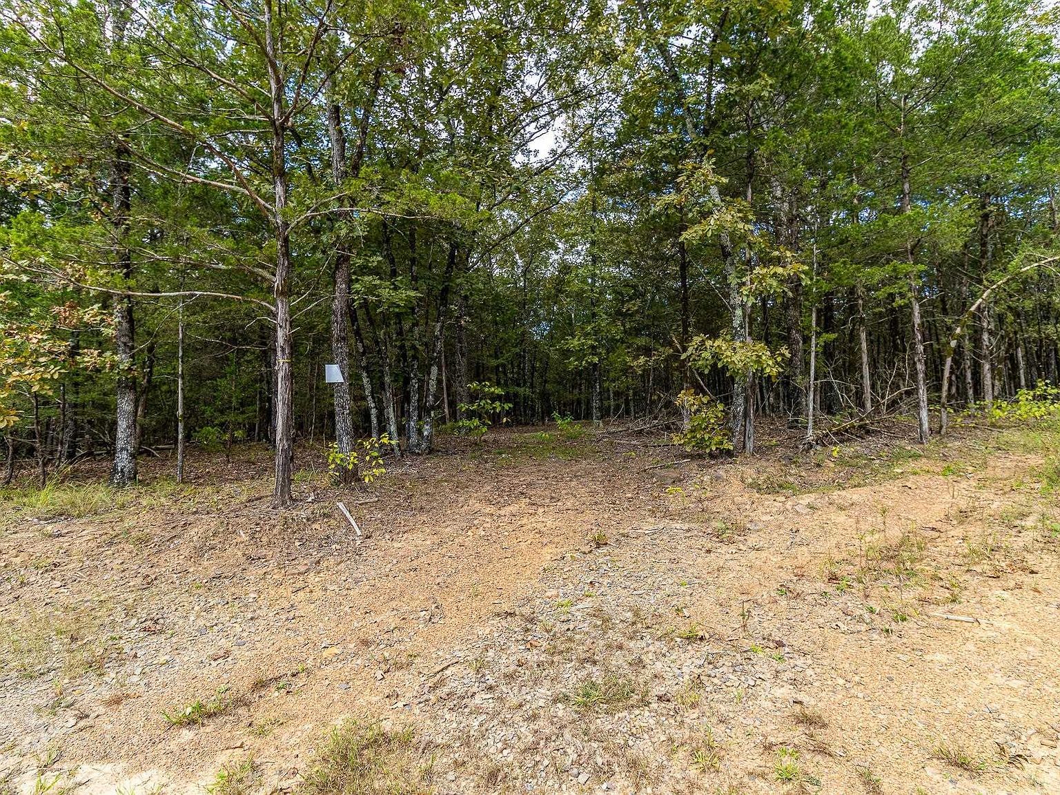 527 Thompson Bay Rd New Blaine, AR 72851 - Thumbnail 5