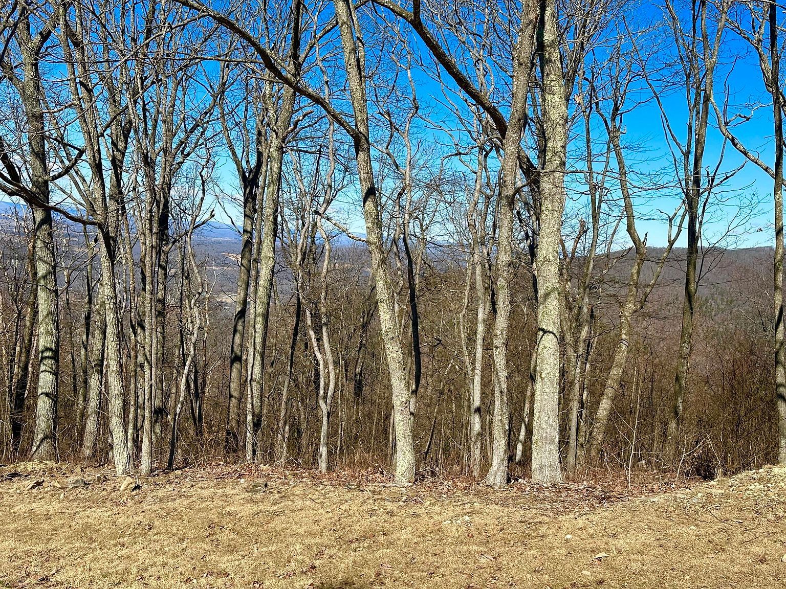 LOT 92 White Rock Trl Caldwell, WV 24925 - Thumbnail 5
