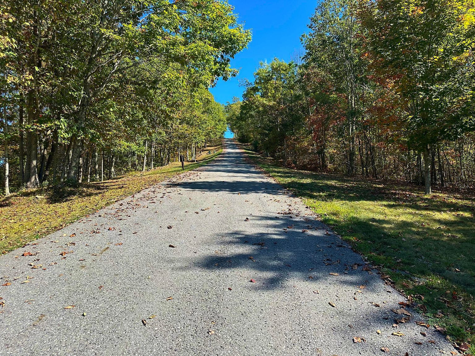 91 White Rock Trl Caldwell, WV 24925 - Thumbnail 5