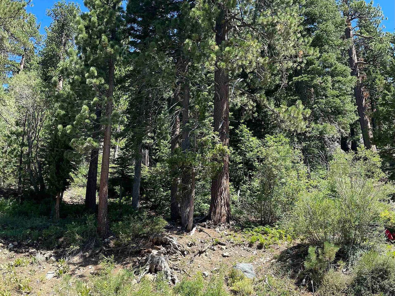 1880 Apache Ct Olympic Valley, CA 96146 - Thumbnail 5