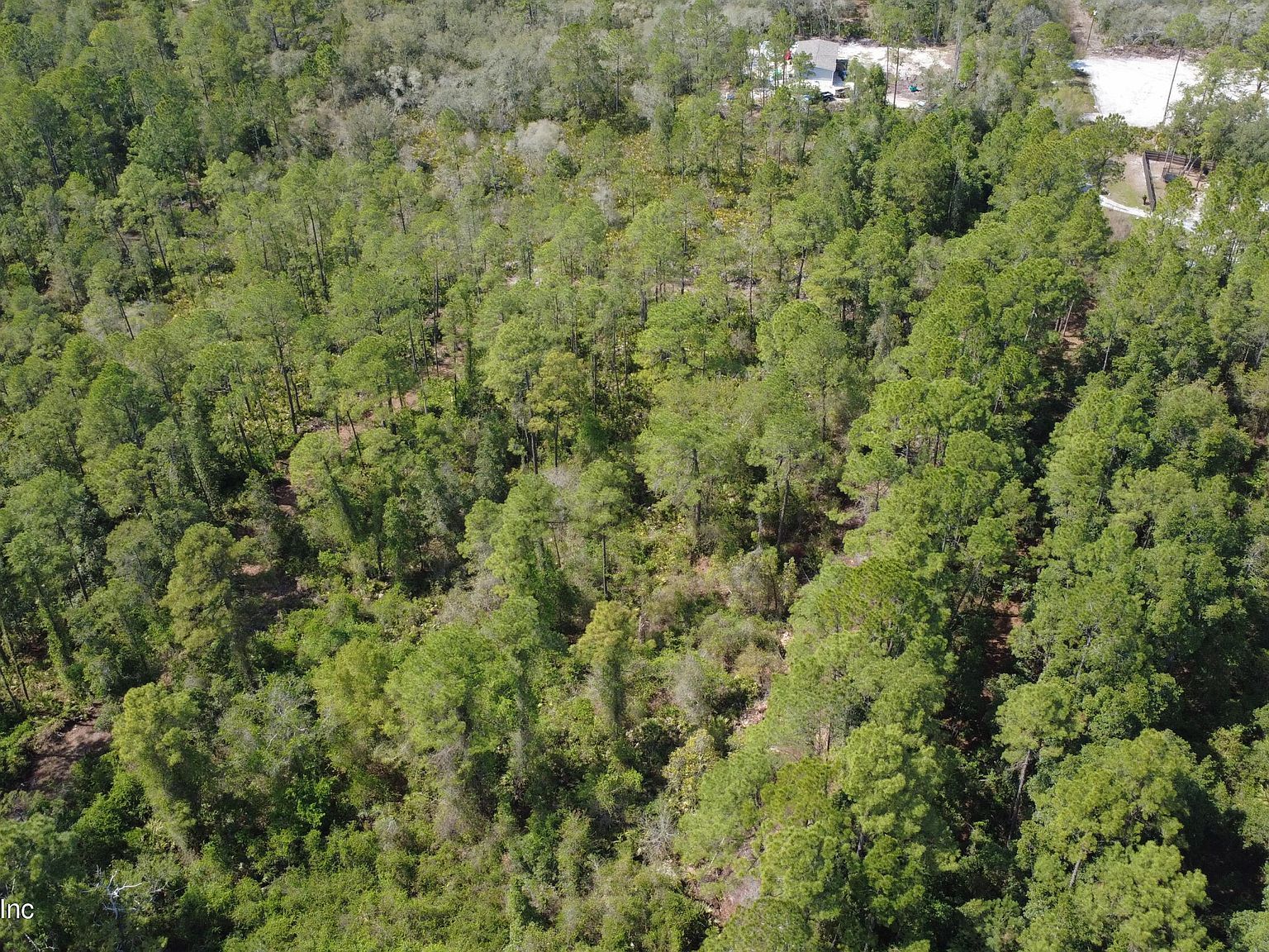 113 Seminole Pl Satsuma, FL 32189 - Thumbnail 5