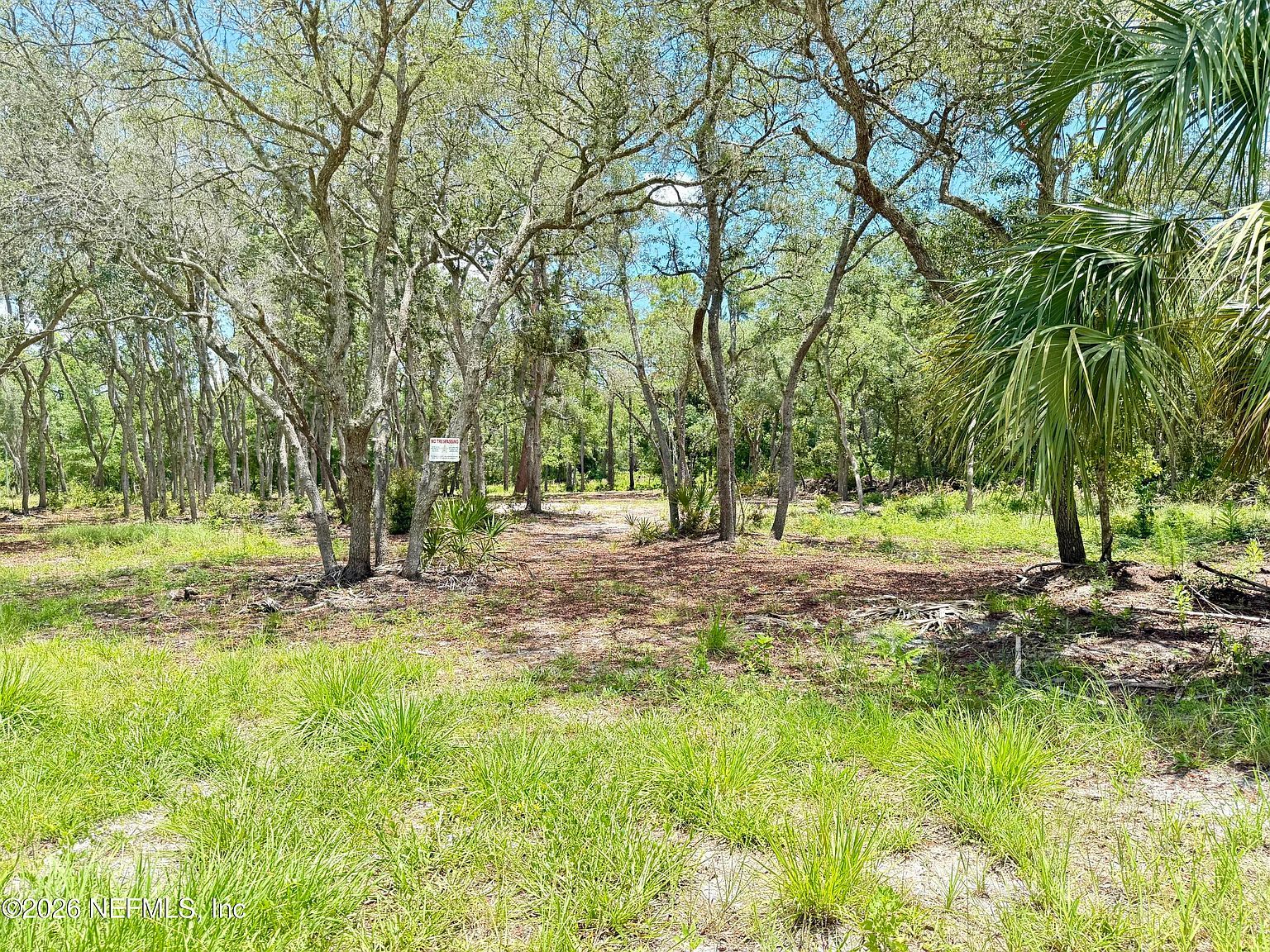 438 Chamberlain Rd Satsuma, FL 32189 - Thumbnail 5