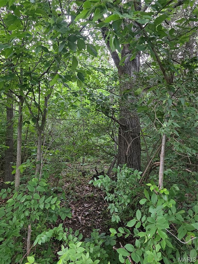 0 W Lakeview Dr De Soto, MO 63020 - Thumbnail 5