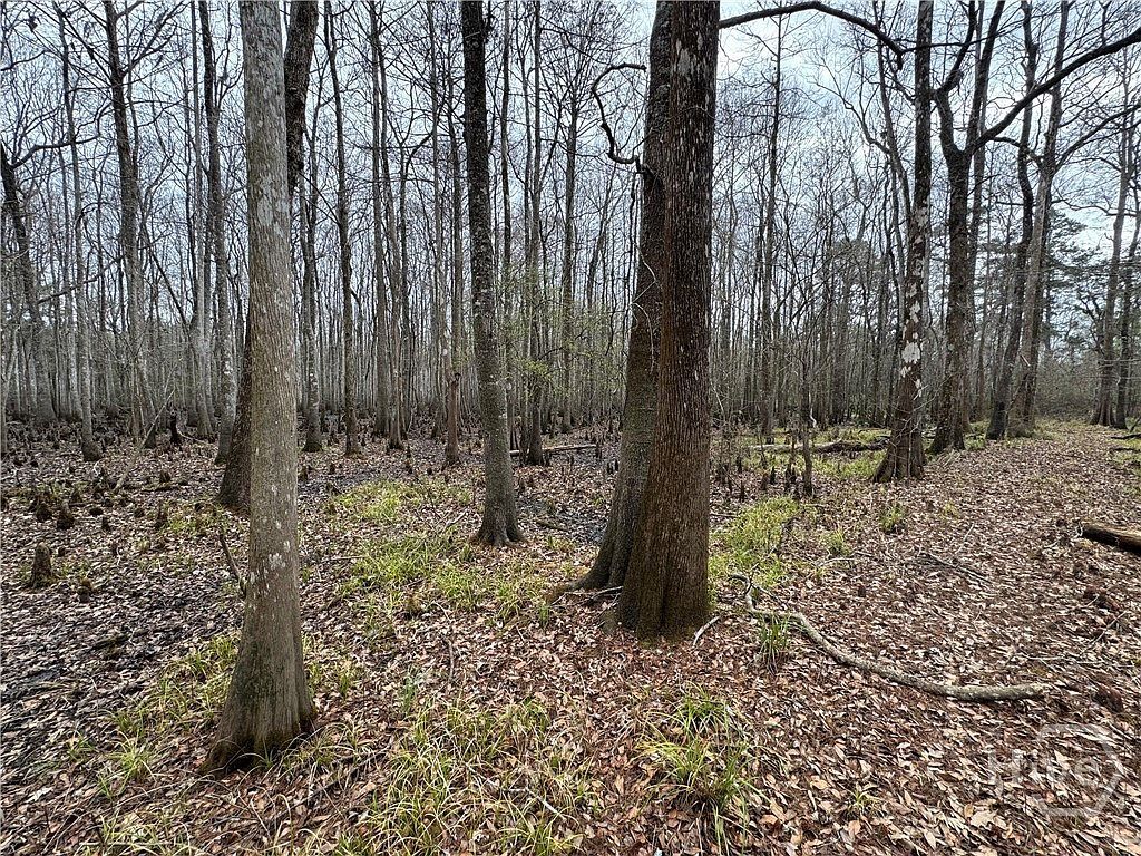 0 Old Highway 204 Bloomingdale, GA 31302 - Thumbnail 5