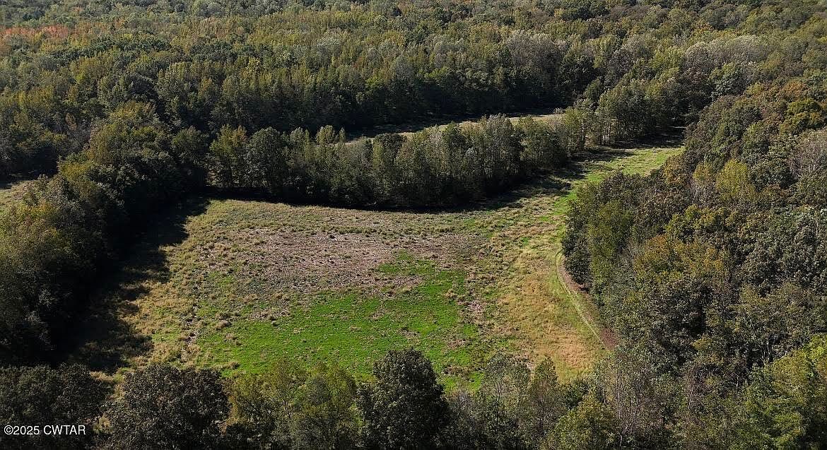 0 Guthrie Rd Paris, TN 38242 - Thumbnail 5