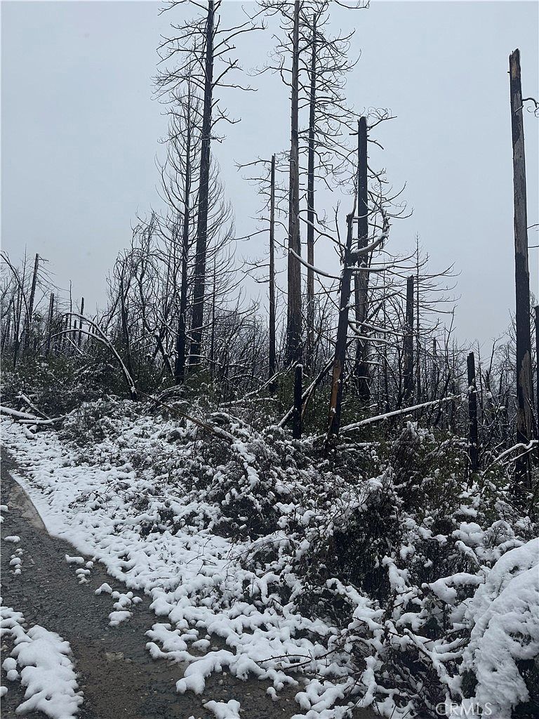 111 Seminole Dr Berry Creek, CA 95916 - Thumbnail 5