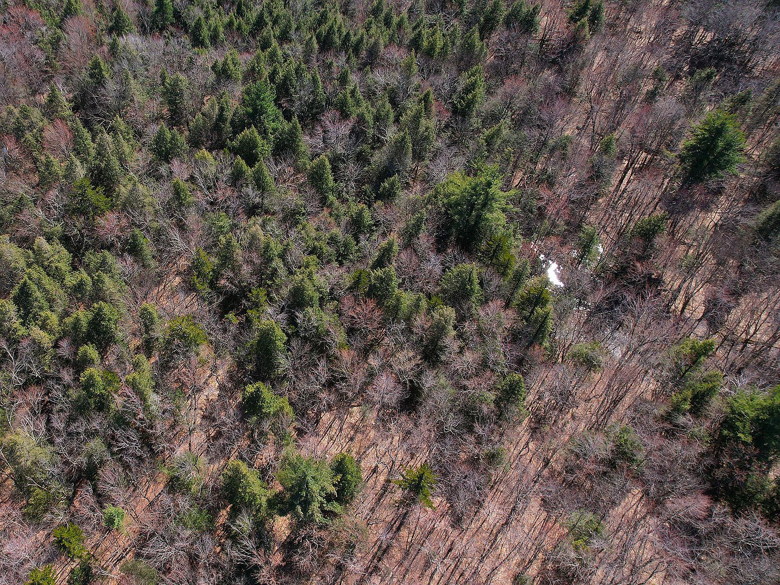 Mountain Pasture Rd Becket, MA 01223 - Thumbnail 5