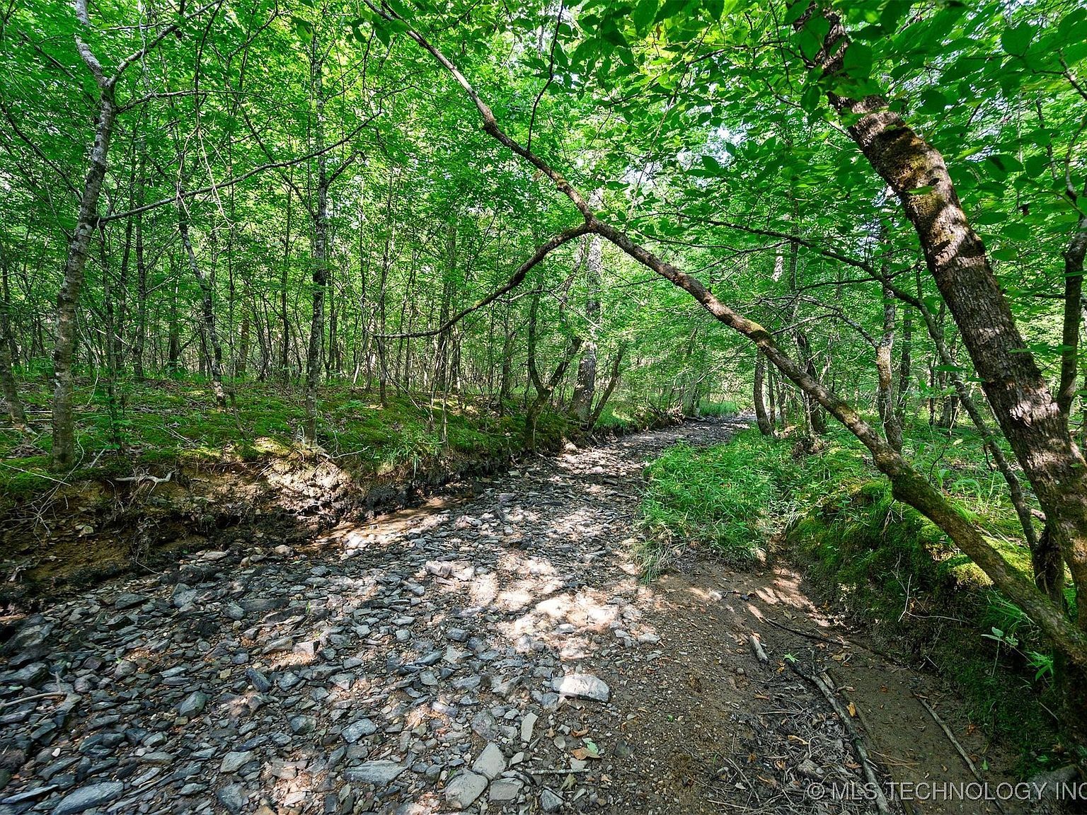 66 Aged Acacia Trl Broken Bow, OK 74728 - Thumbnail 5