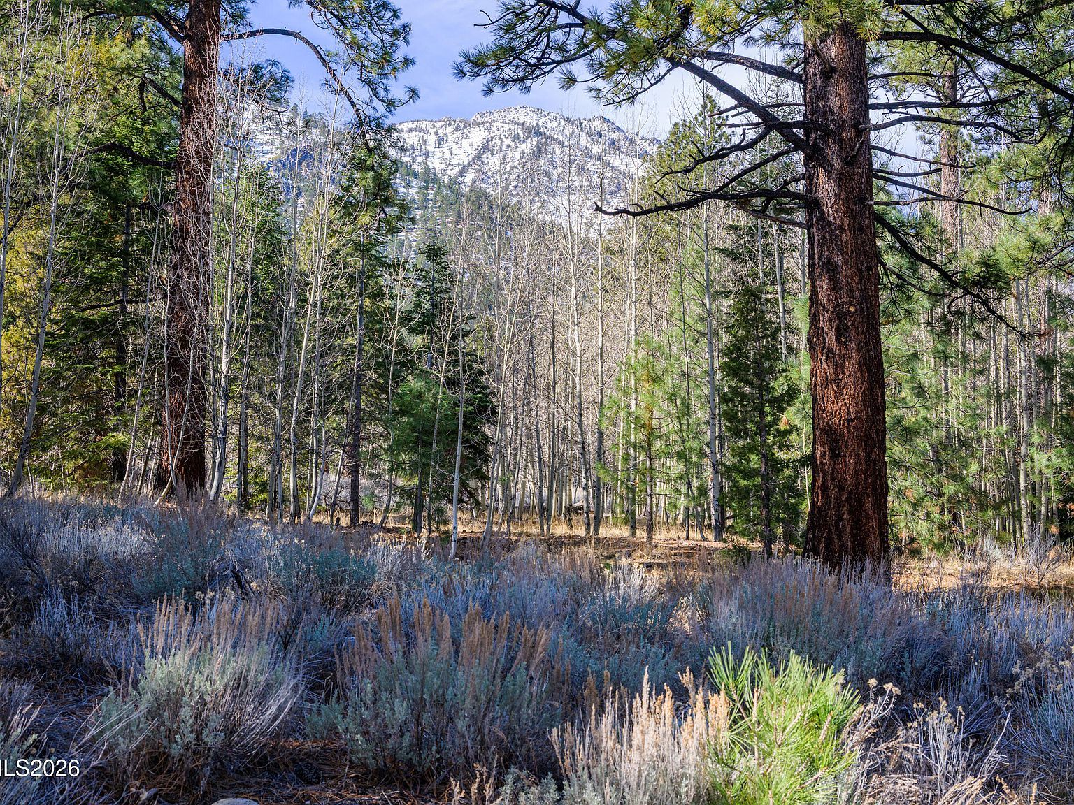 240 Forest Hill Way Gardnerville, NV 89460 - Thumbnail 5
