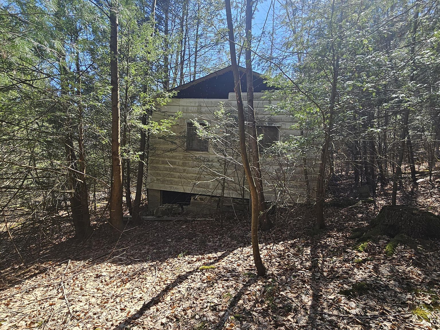 4 First Fork Rd Sinnamahoning, PA 15861 - Thumbnail 5