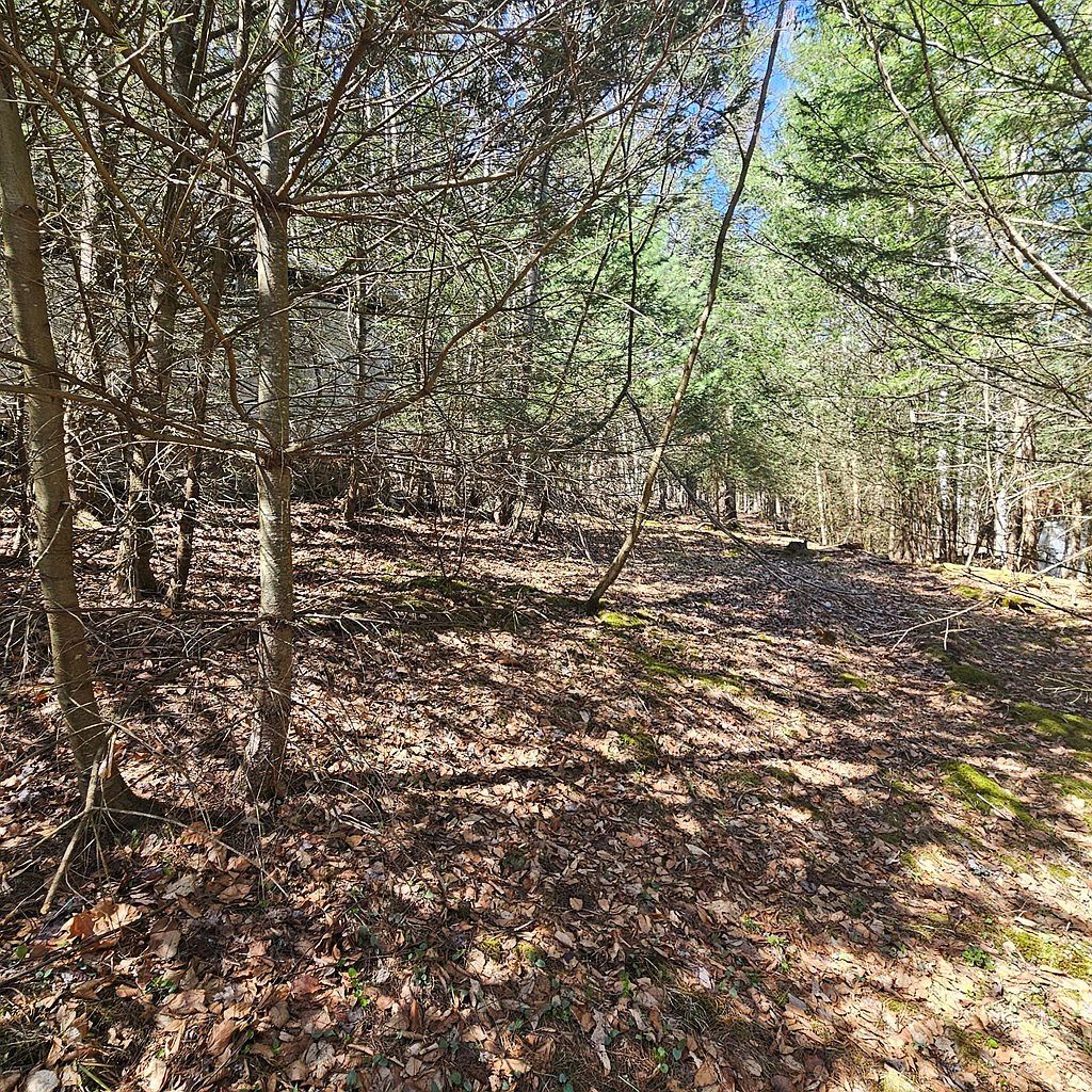 0 First Fork Rd Sinnamahoning, PA 15861 - Thumbnail 5