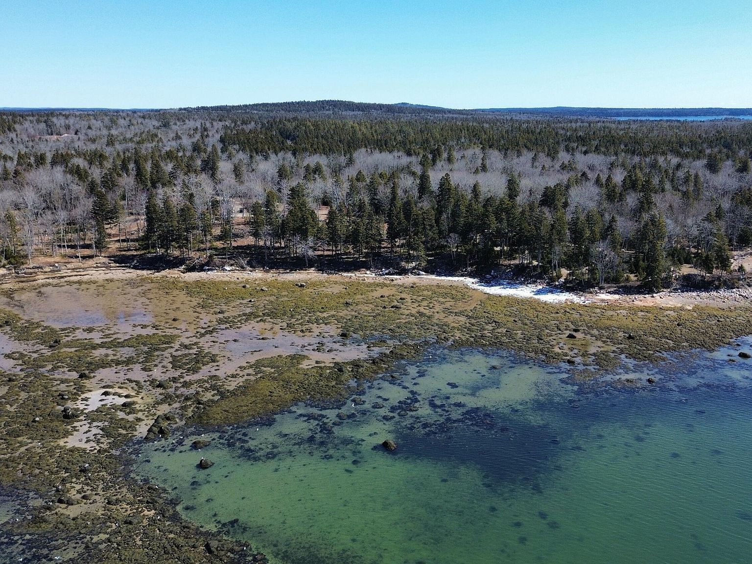 216 N Estates Rd Steuben, ME 04680 - Thumbnail 5