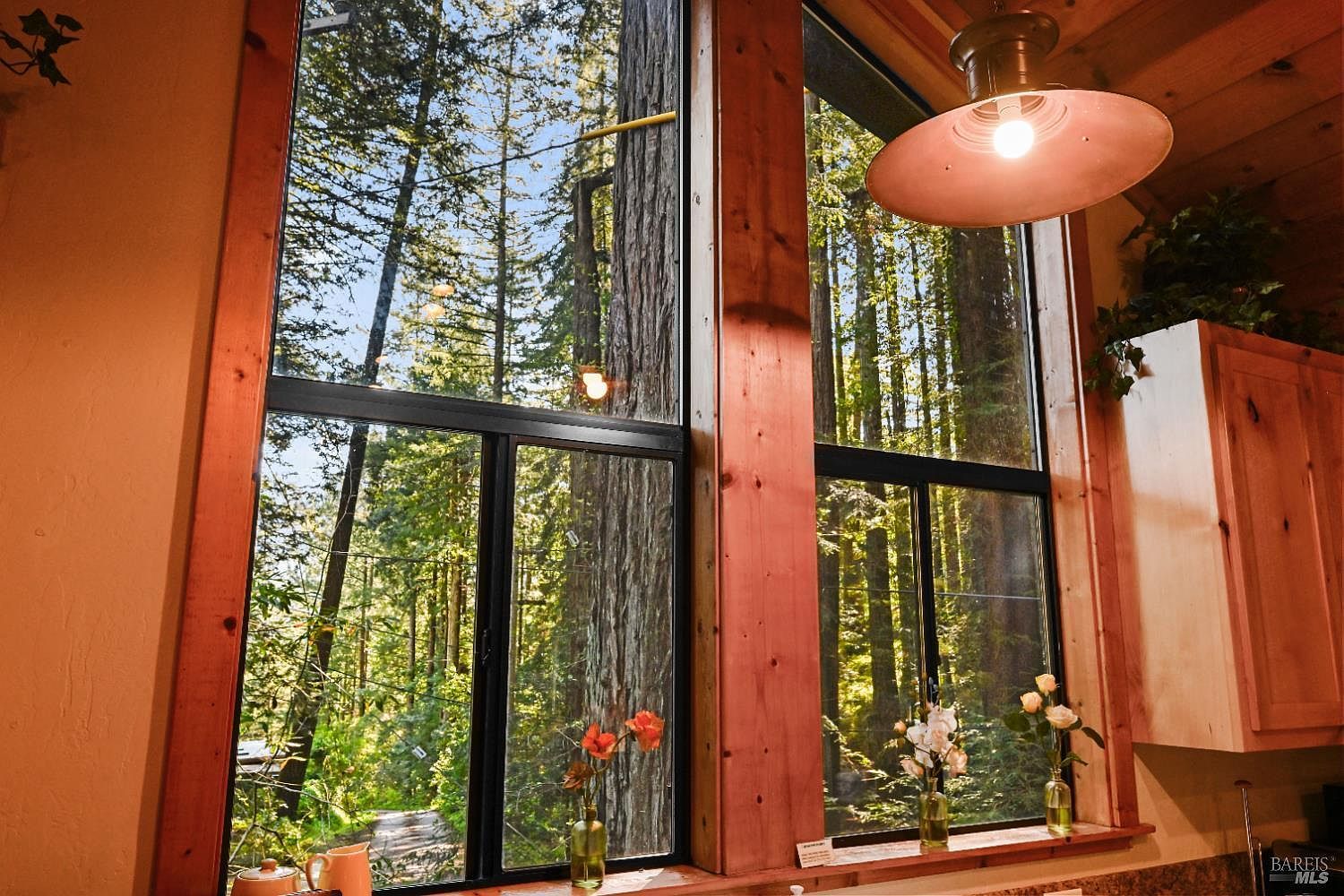 9 Huckleberry Hts Cazadero, CA 95421 - Thumbnail 5