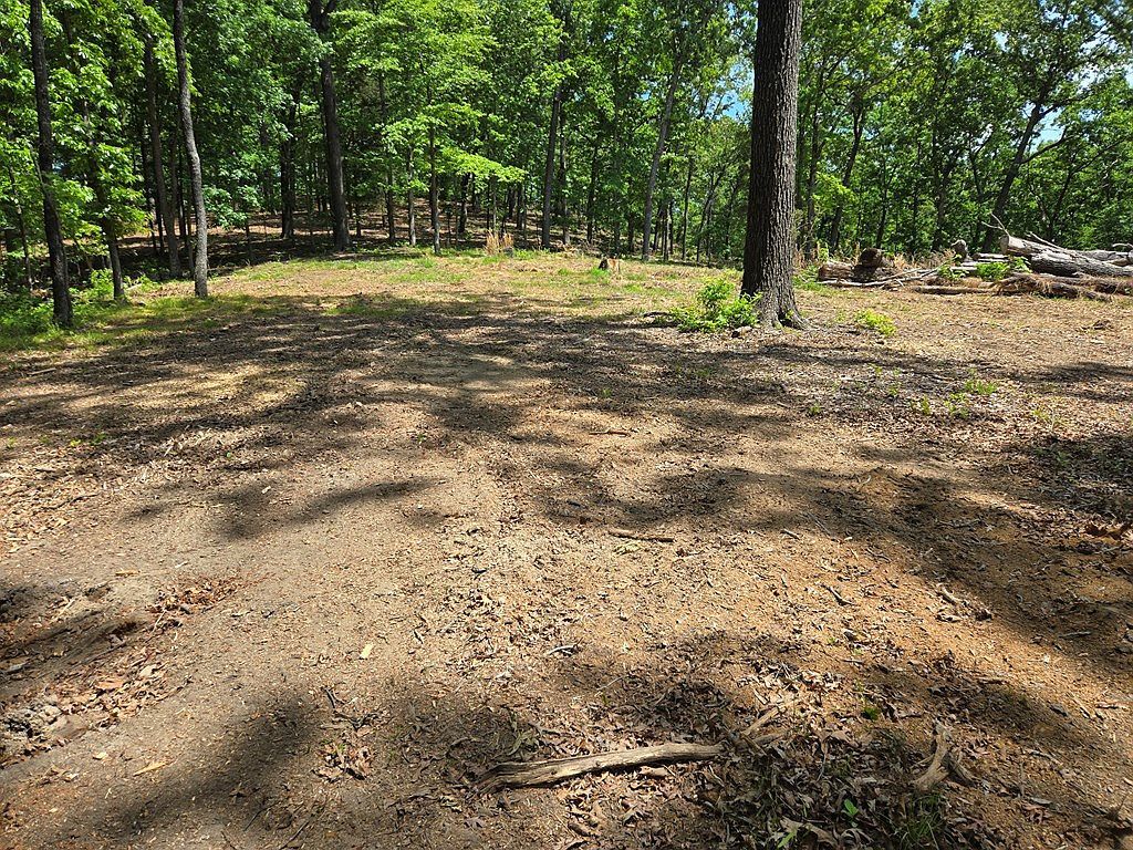 730 Swan Bay Dr Buchanan, TN 38222 - Thumbnail 5