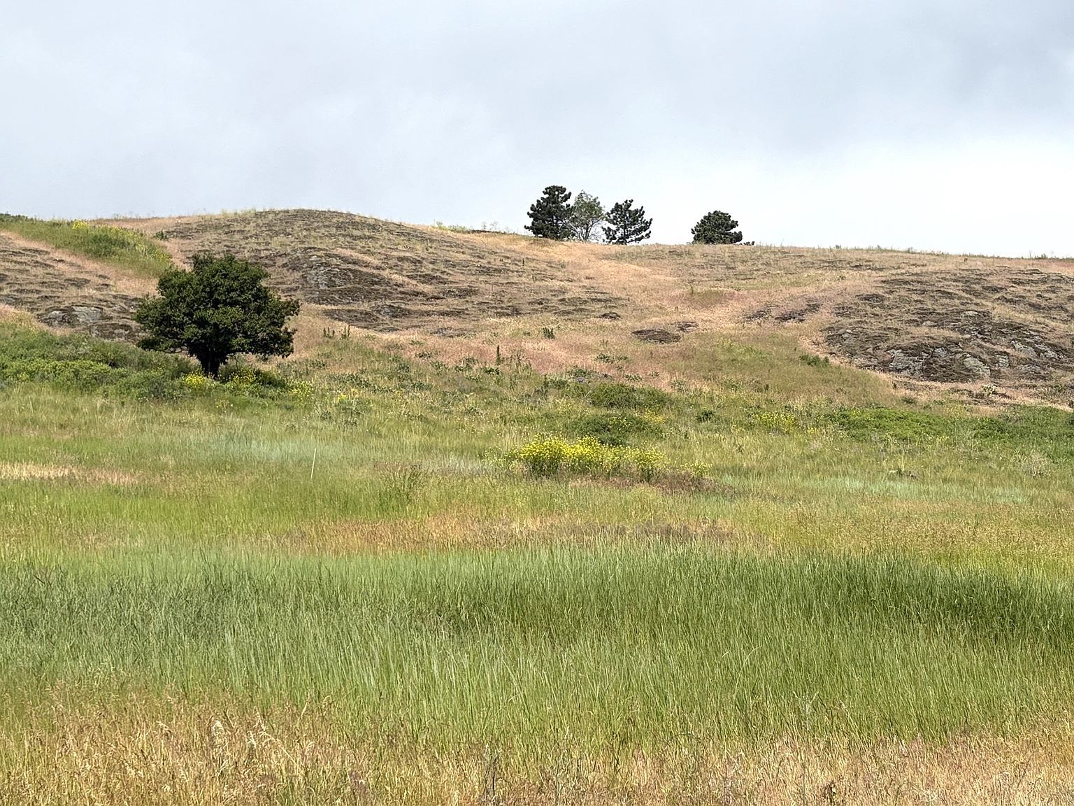 Stone Horse Dr Homesite 27 Polson, MT 59860 - Thumbnail 5