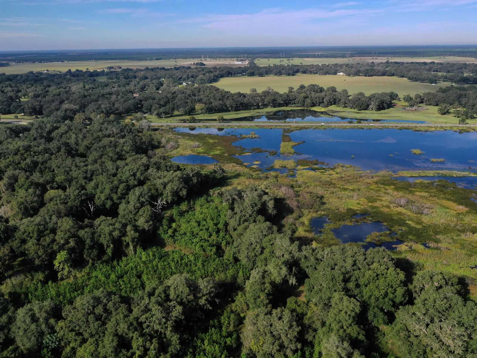 CR 475, Oxford, FL, 34484 - Thumbnail 5