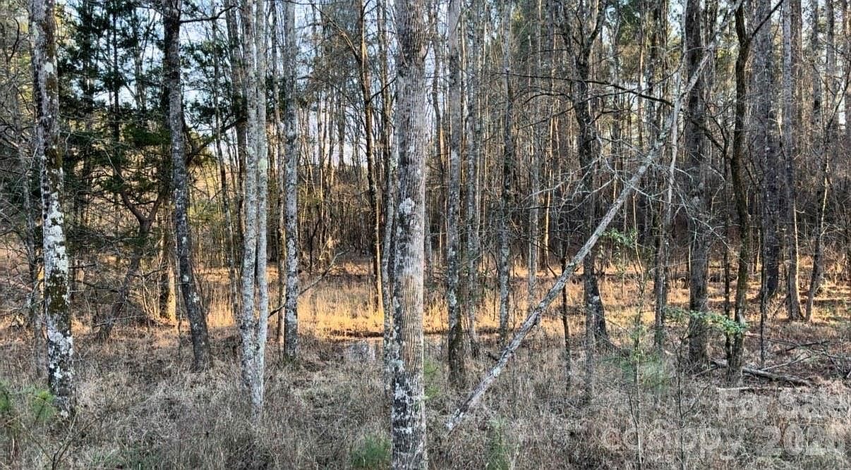 8066 Gulf Creek Rd Lancaster, SC 29720 - Thumbnail 5