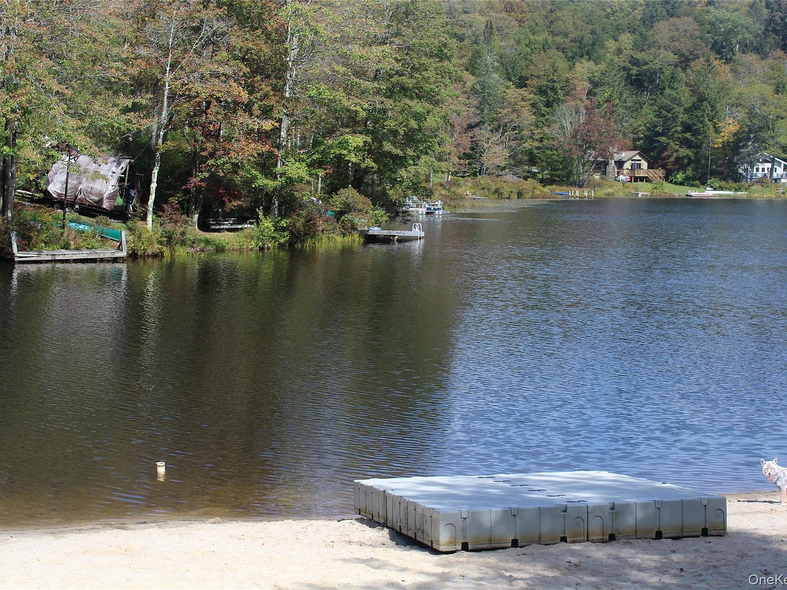 Trout Brook Rd Roscoe, NY 12776 - Thumbnail 5