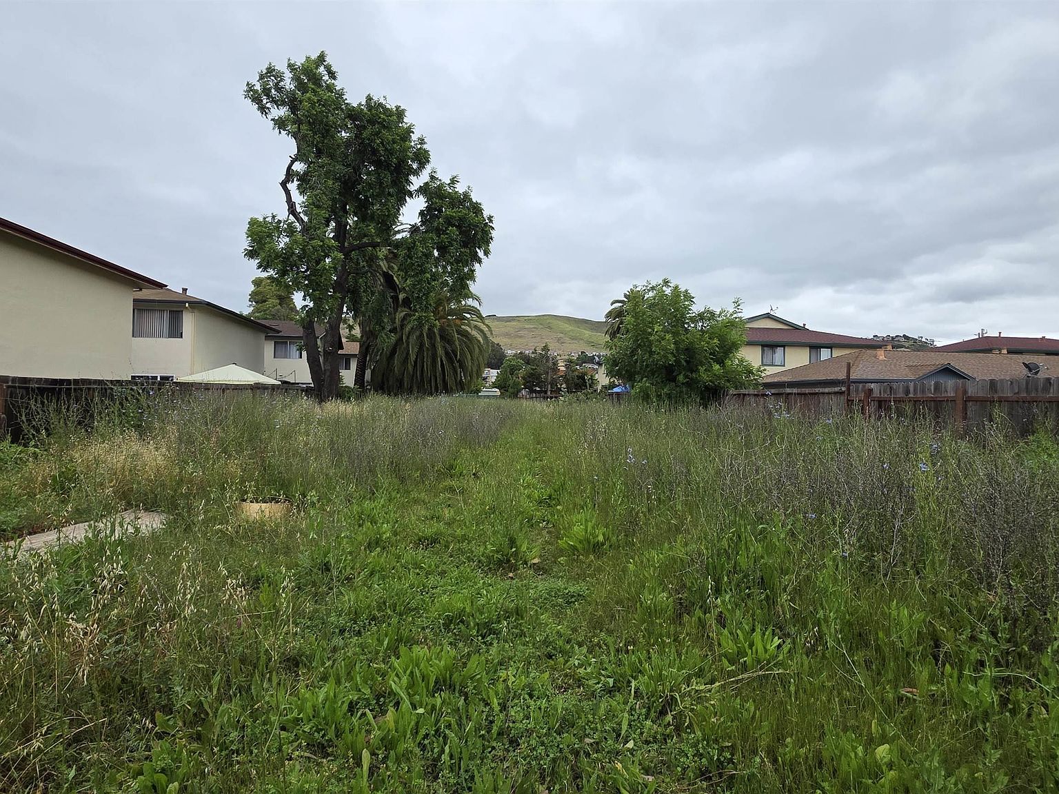 29181 Dixon St Hayward, CA 94544 - Thumbnail 5