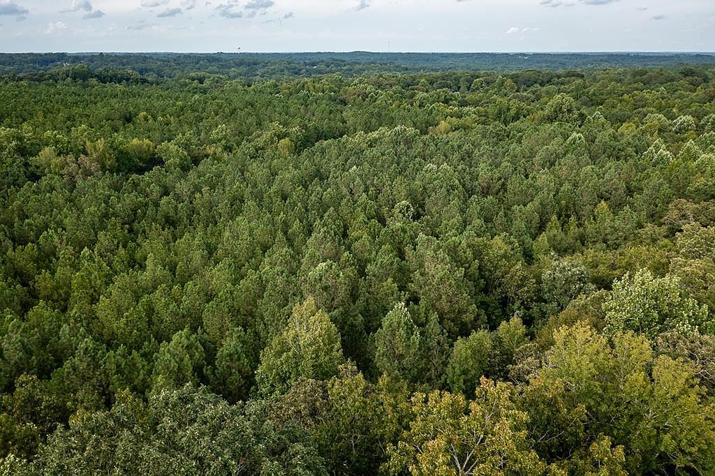 0 Center St Abbeville, SC 29620 - Thumbnail 5