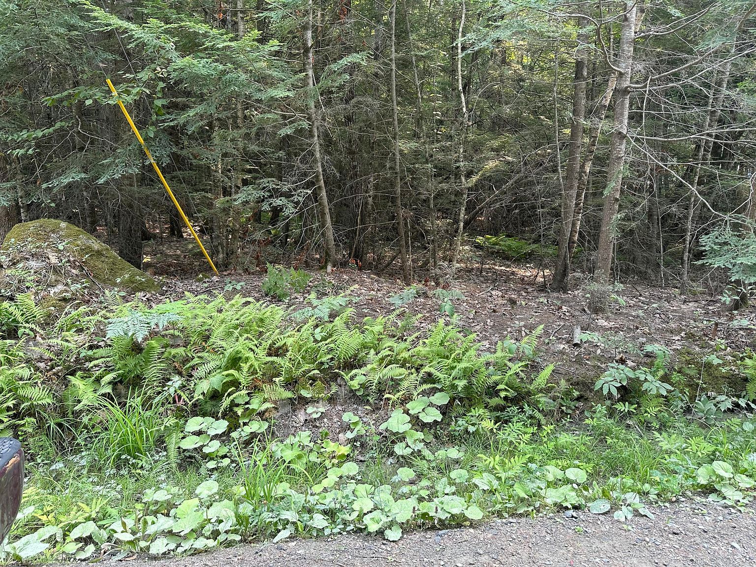 37 Cottage Shore Dr Holden, ME 04429 - Thumbnail 5