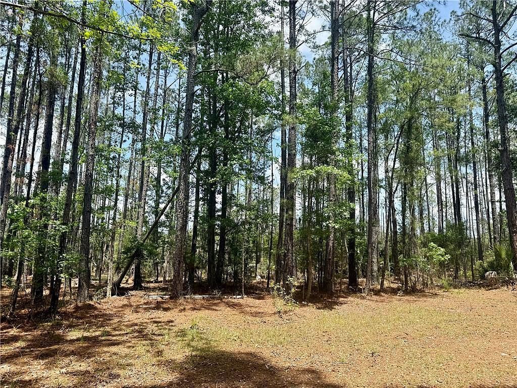 0 Timber Landing Rd Brunswick, GA 31523 - Thumbnail 5