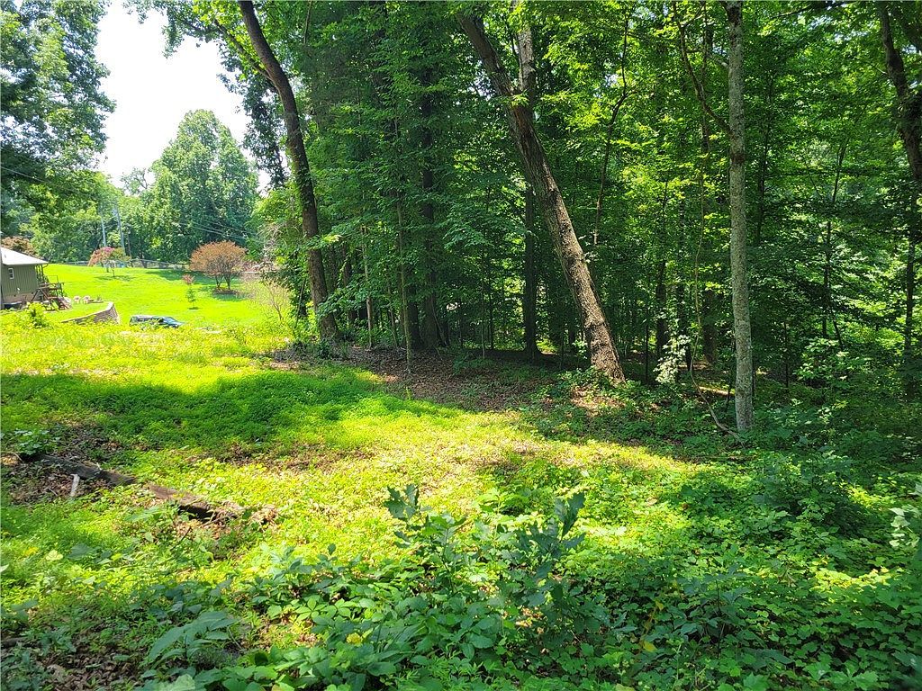 0 Fox Fire Rd Central, SC 29630 - Thumbnail 5