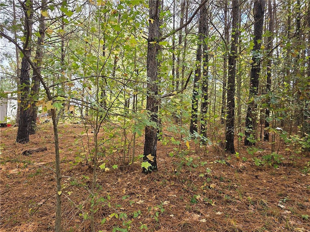 0 Dogwood Ln Townville, SC 29689 - Thumbnail 5