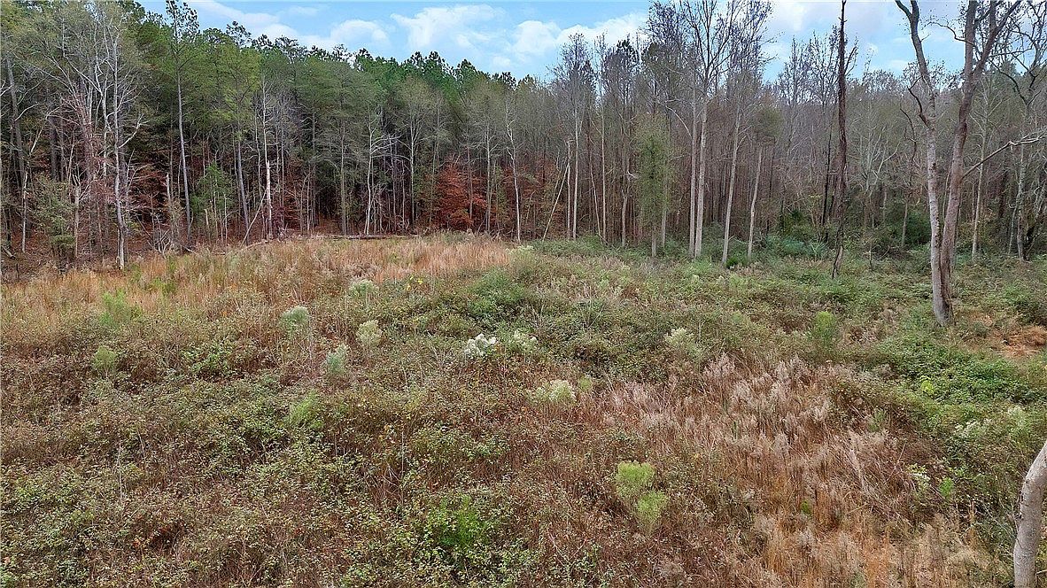 0 Highway 29 Hwy S Anderson, SC 29626 - Thumbnail 5