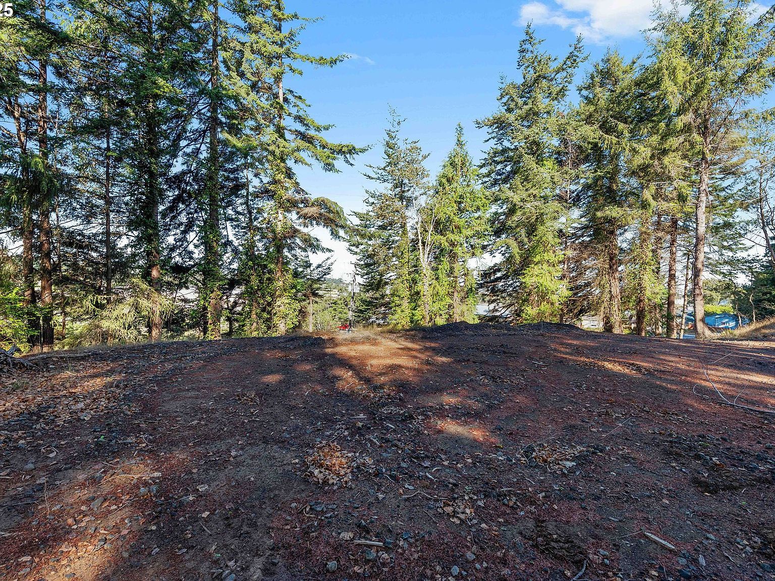 2253 Pony Creek Rd North Bend, OR 97459 - Thumbnail 5