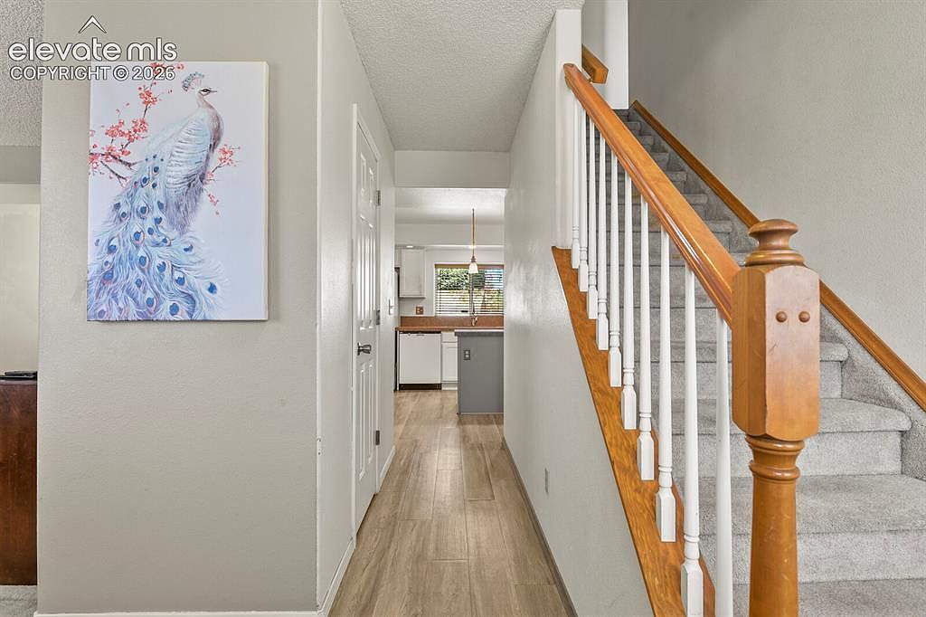 4912 Chariot Dr Colorado Springs, CO 80918 - Thumbnail 5