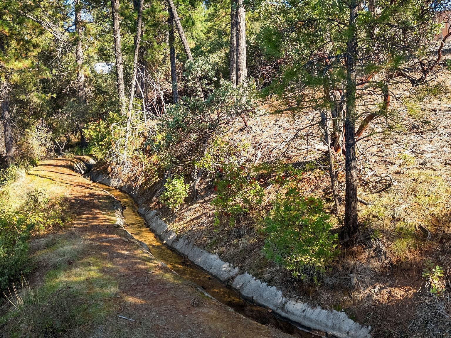 11210 Forest Park Rd Columbia, CA 95310 - Thumbnail 5