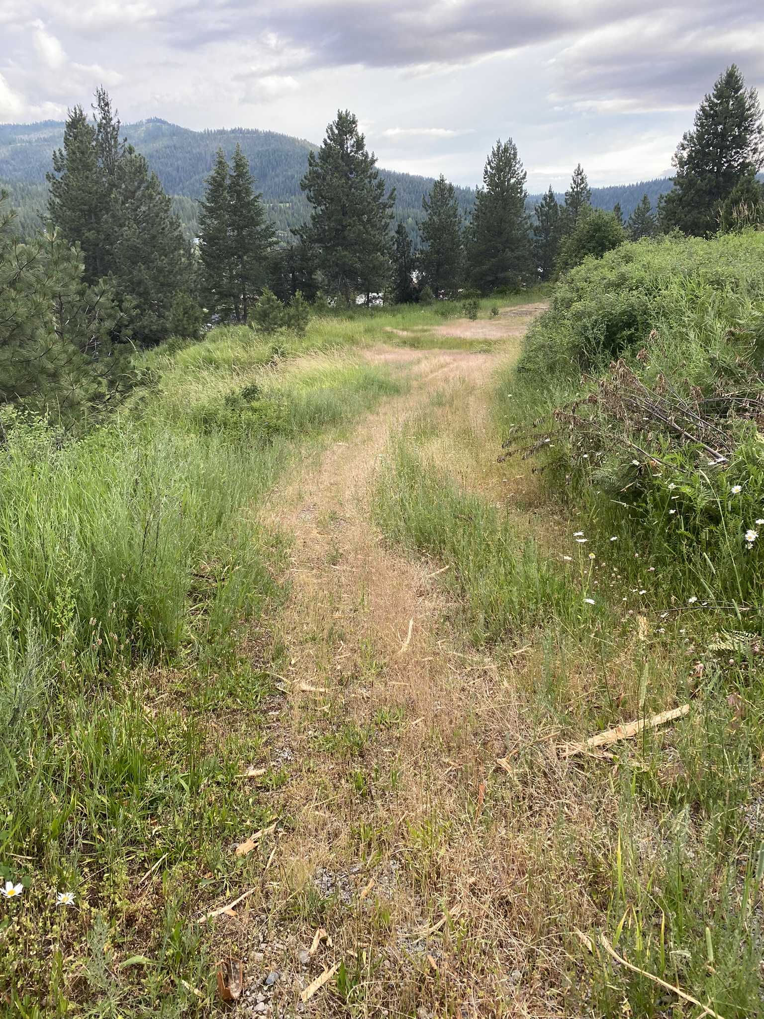 225 Pine Tree Drive, Pinhurst, ID, 83850 - Thumbnail 4