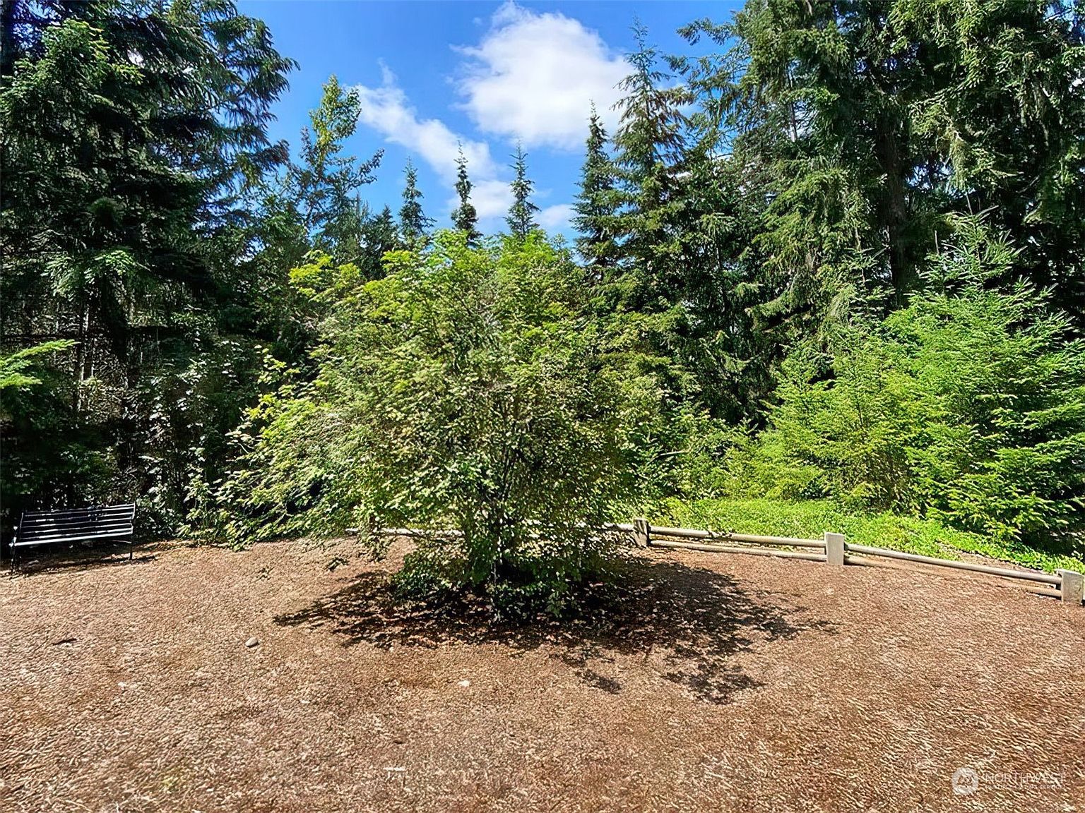 513 Hidden Forest Dr SE Olympia, WA 98513 - Thumbnail 5