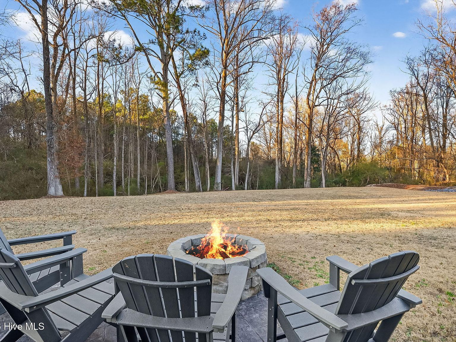 89 Vic McLeod Ct Coats, NC 27521 - Thumbnail 5