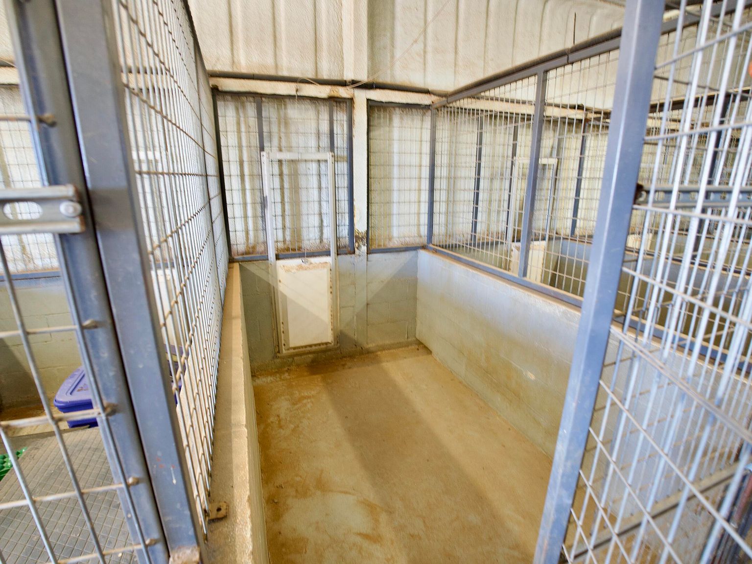 16207 N Fm 179 Shallowater, TX 79363 - Thumbnail 5