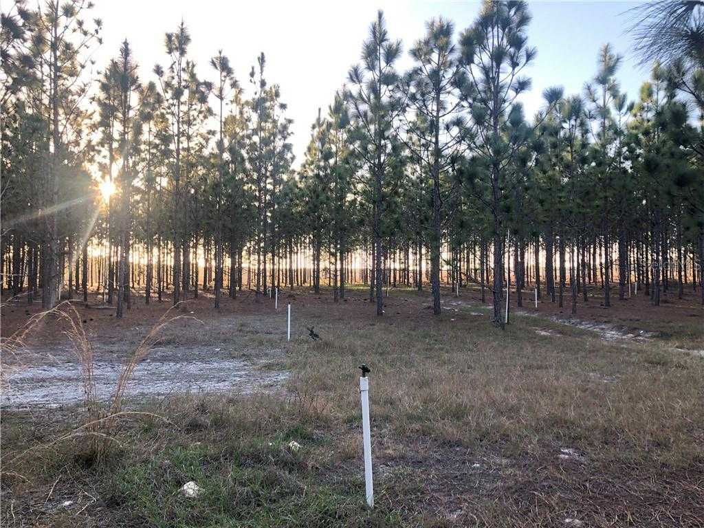 O No Street - Thumbnail 5