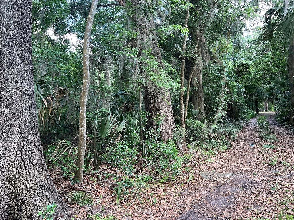 16075 NW 37th Ter Reddick, FL 32686 - Thumbnail 5