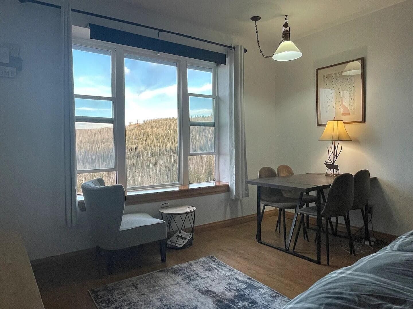 223 Hunter Ridge Rd #E223 Brian Head, UT 84719 - Thumbnail 5