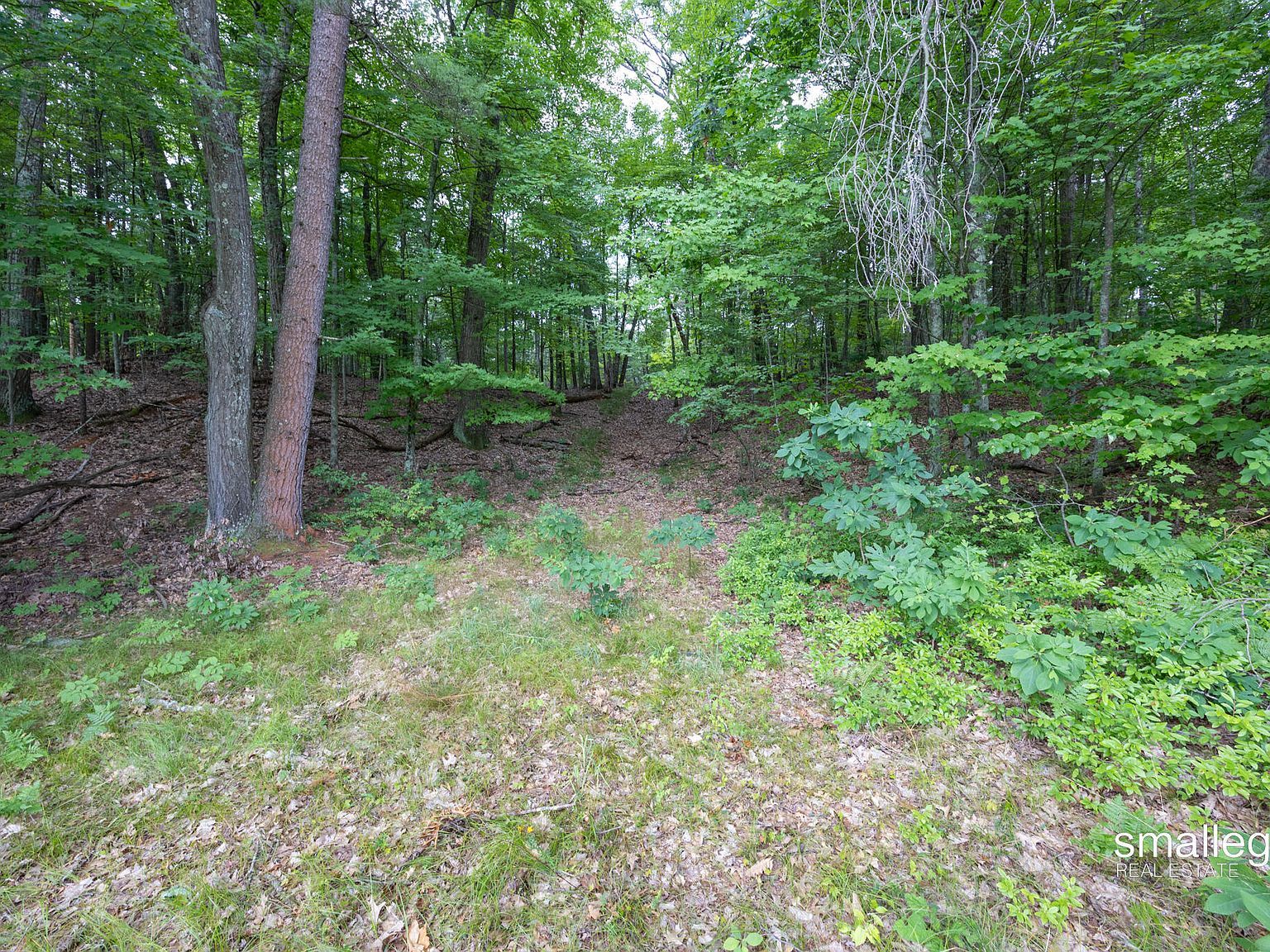 3747 S Sweet Lake Dr Twin Lake, MI 49457 - Thumbnail 5