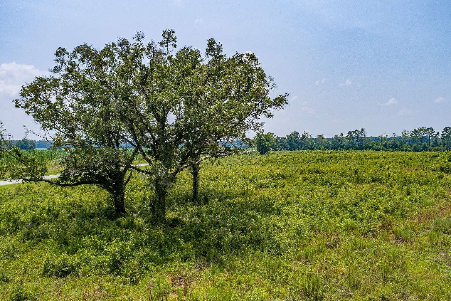 0 NE Dusty Miller Ave Madison, FL 32340 - Thumbnail 5