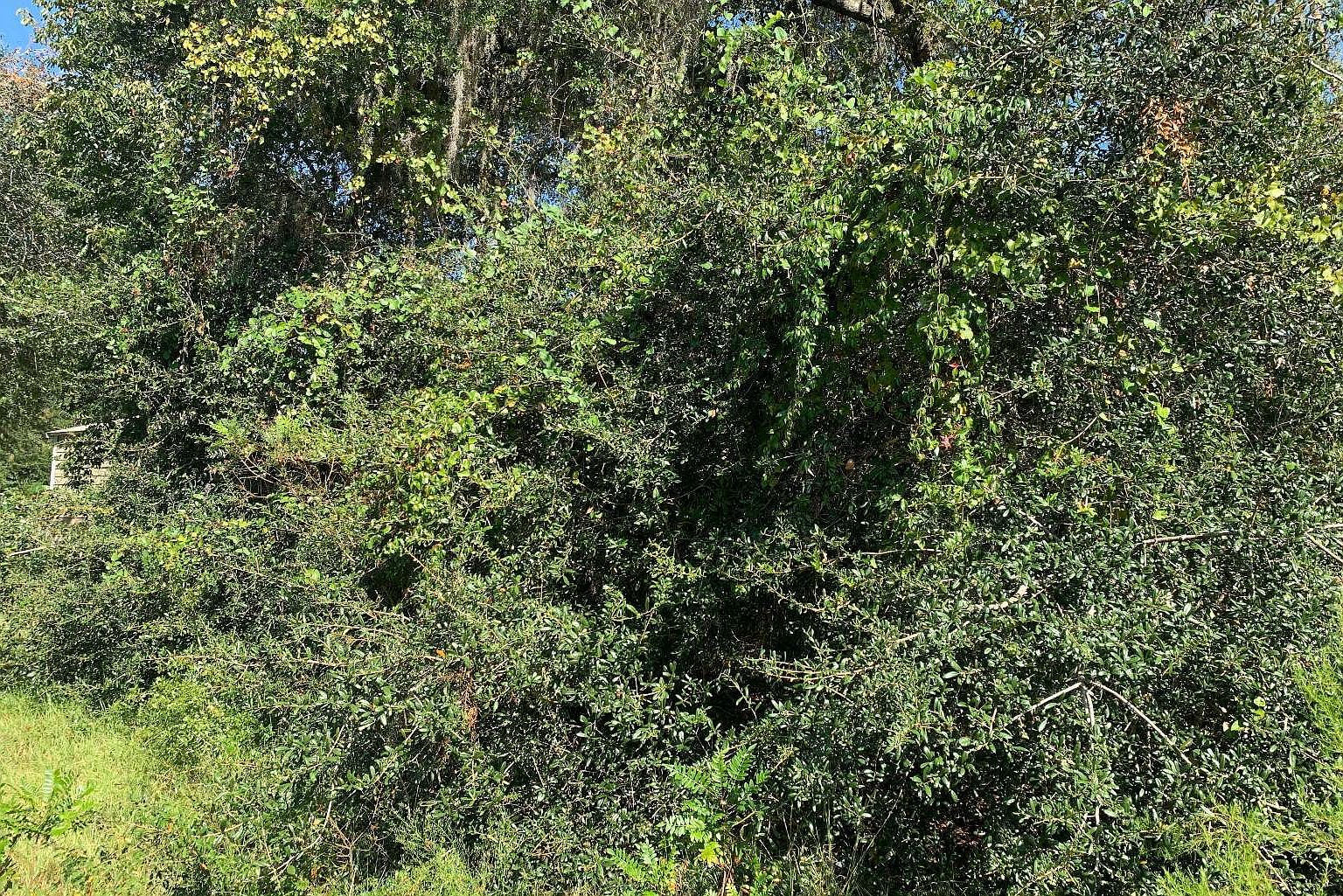 351 NW Heritage Dr Lake City, FL 32055 - Thumbnail 5