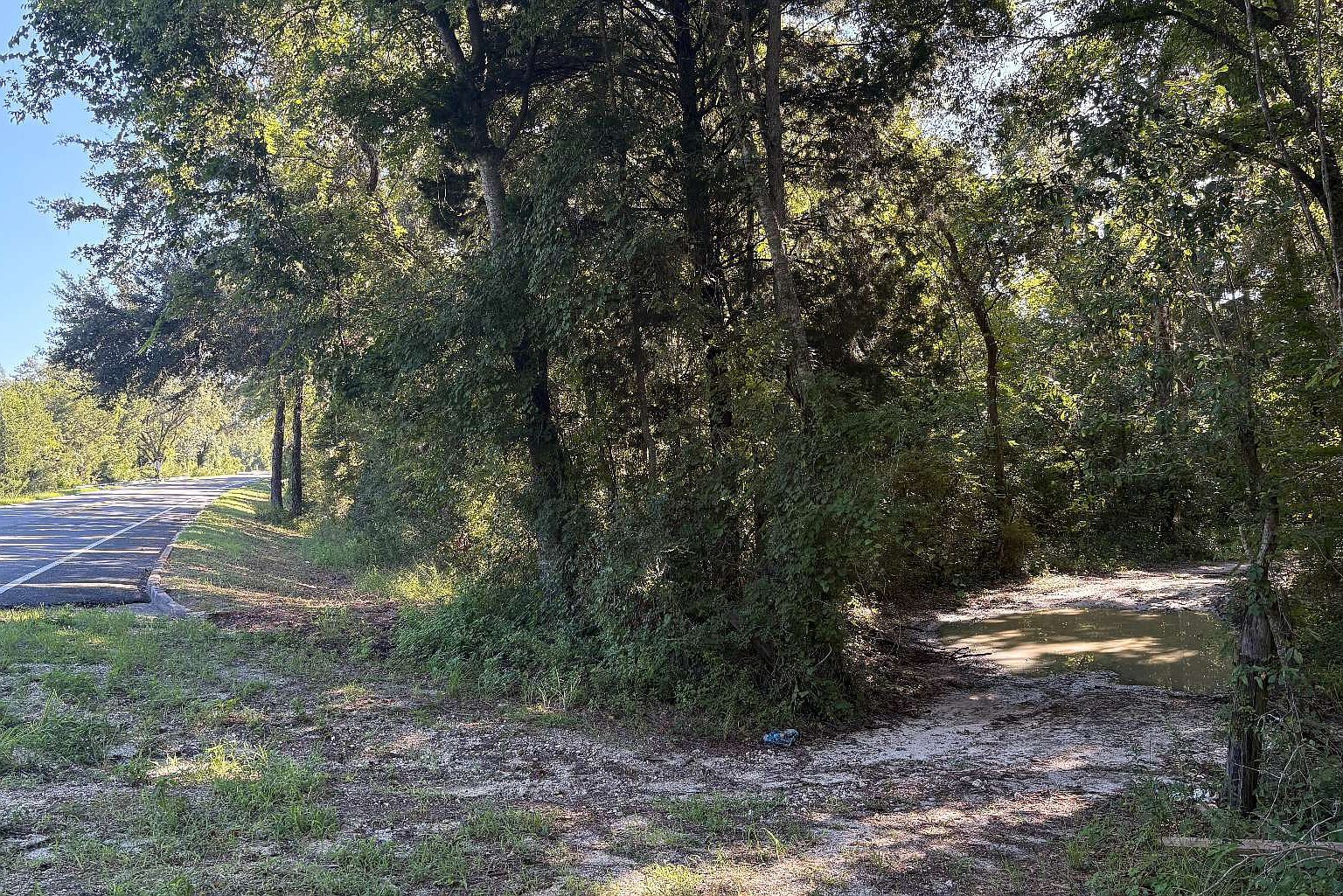 SW Tustenuggee Ave Lake City, FL 32024 - Thumbnail 5