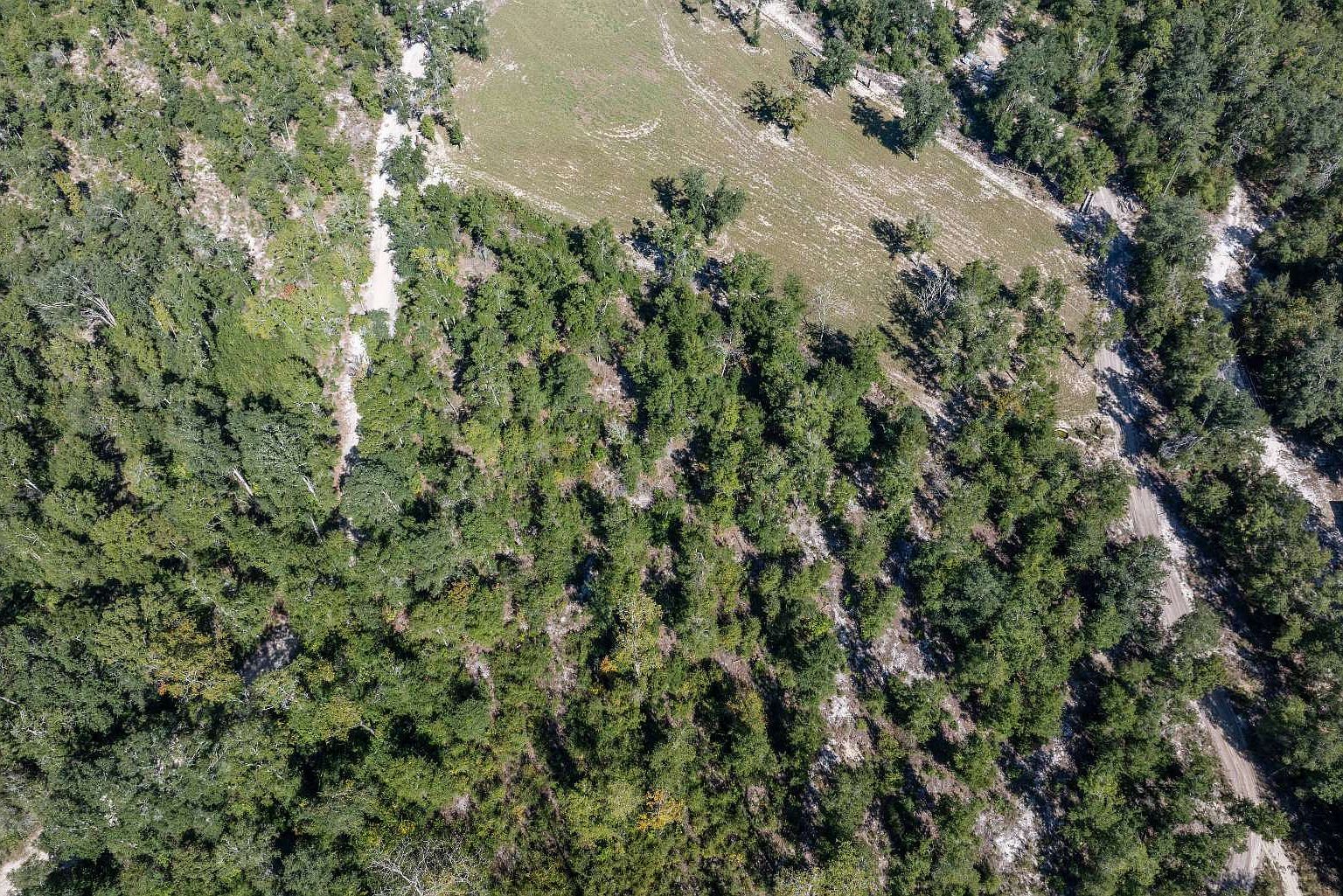 843 SW Illinois St Fort White, FL 32038 - Thumbnail 5