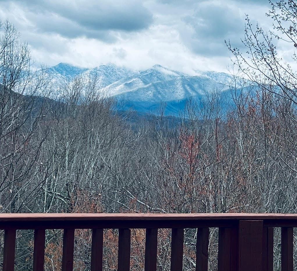 521 Deer Path Ln Gatlinburg, TN 37738 - Thumbnail 5