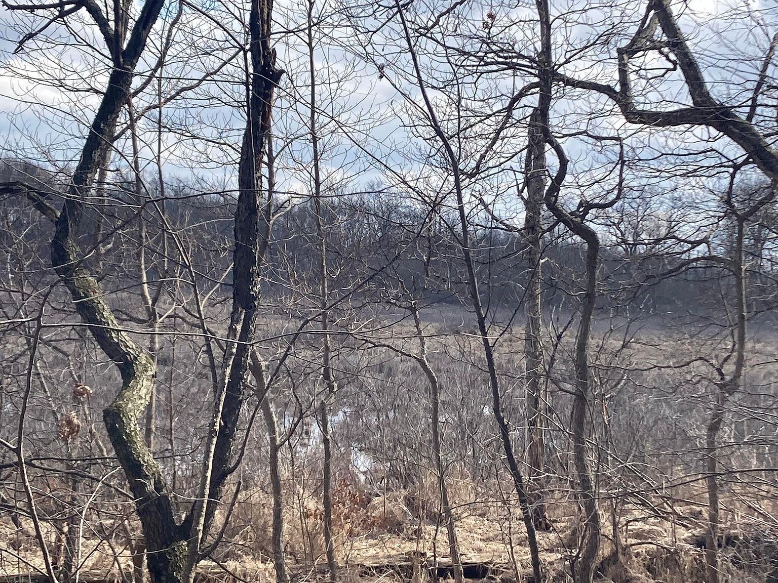 Crystal Springs St Dowagiac, MI 49047 - Thumbnail 5