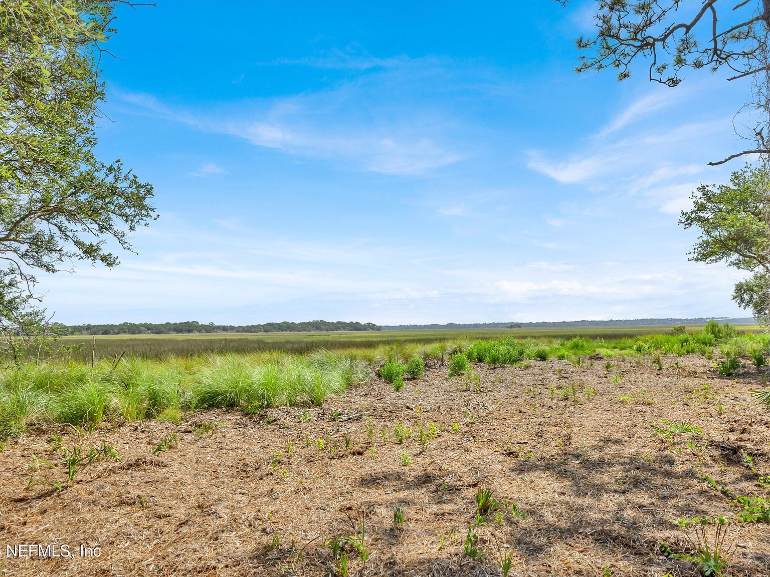 13091 Sawpit Rd Jacksonville, FL 32226 - Thumbnail 5