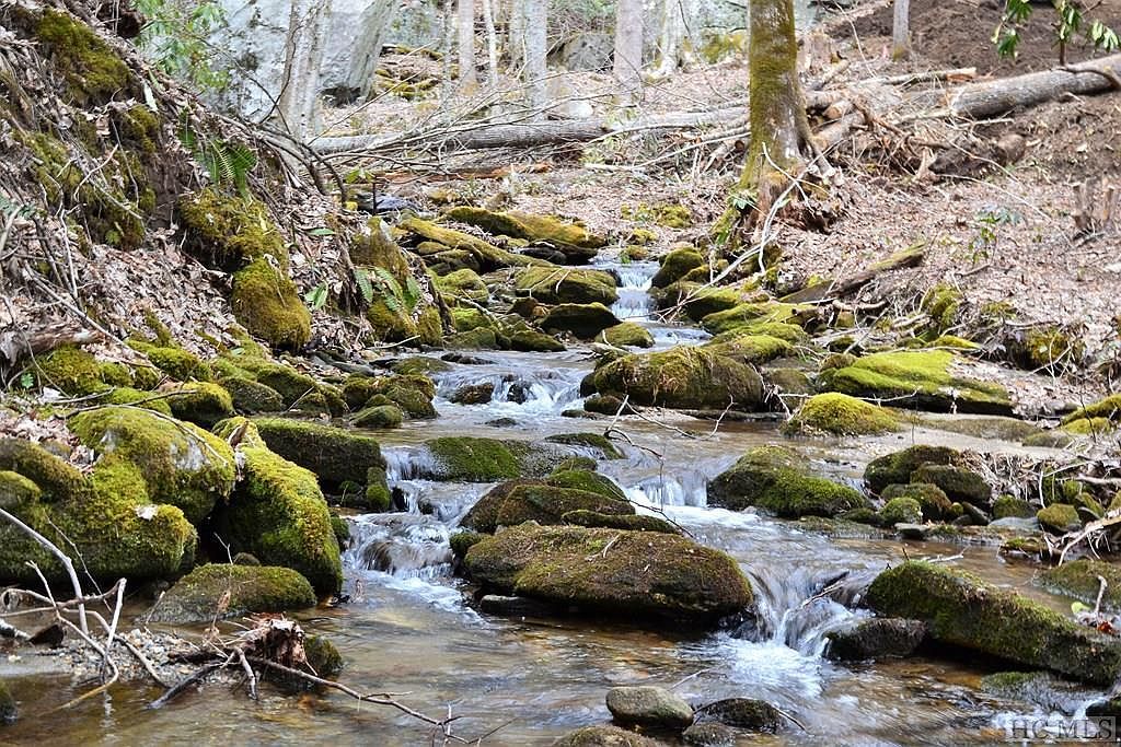 Multi Spike Moss Rd Sapphire, NC 28774 - Thumbnail 5